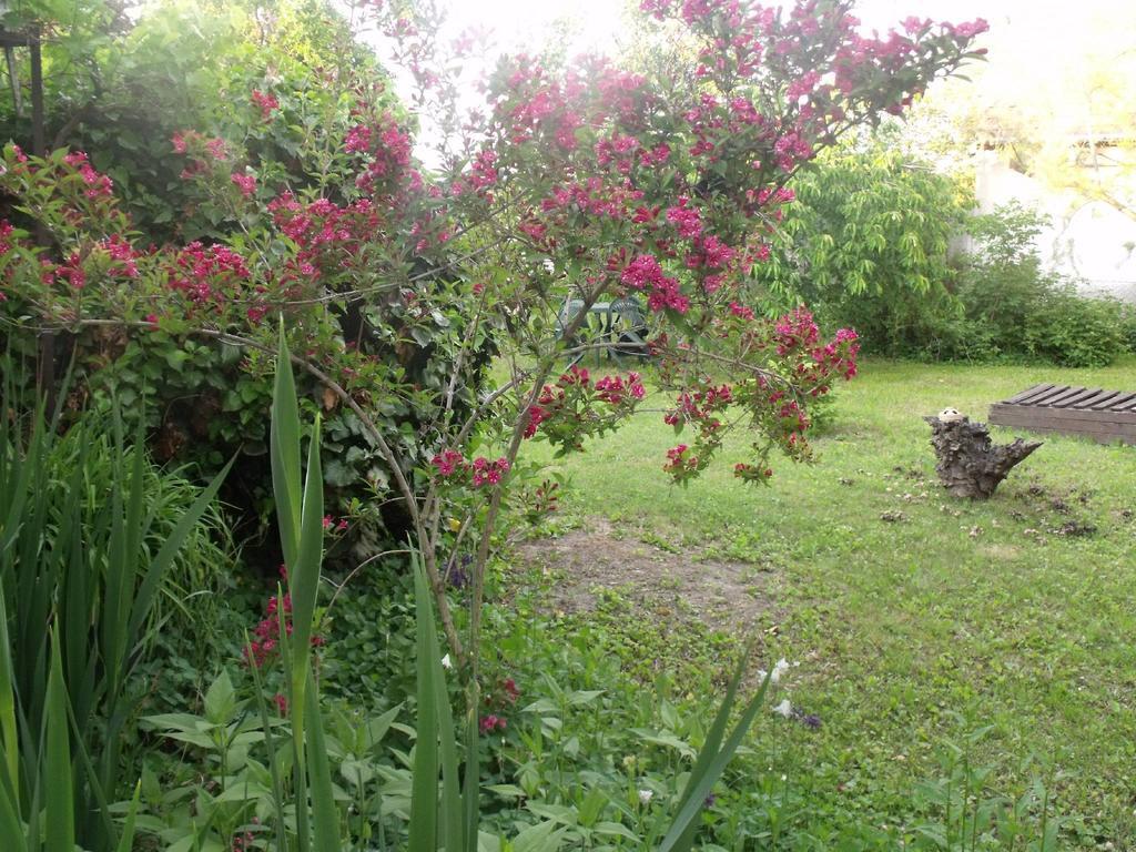 Vila Kerekparos Es Zarandok Vendeghaz Apostag Pokoj fotografie
